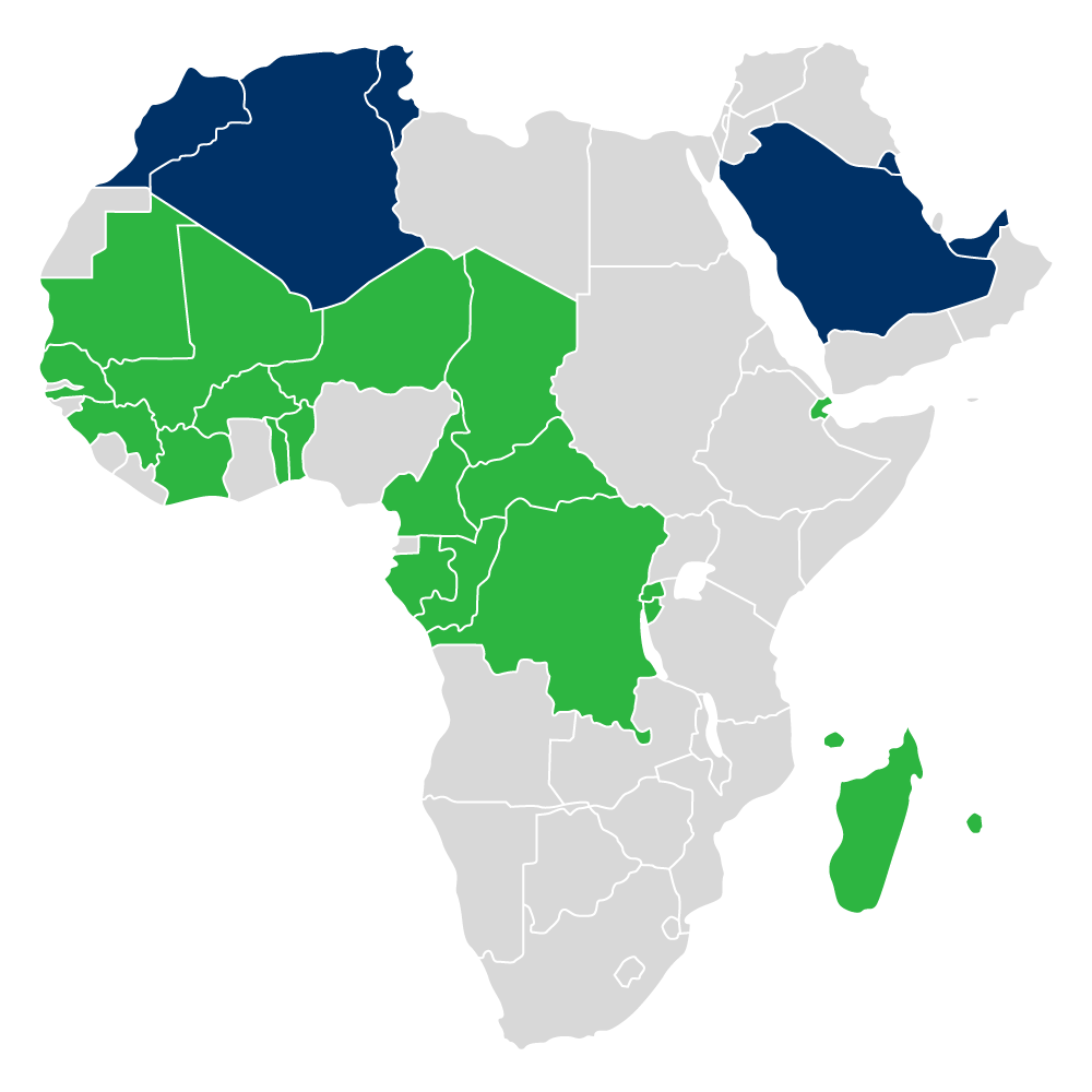 Théa África y Medio Oriente
