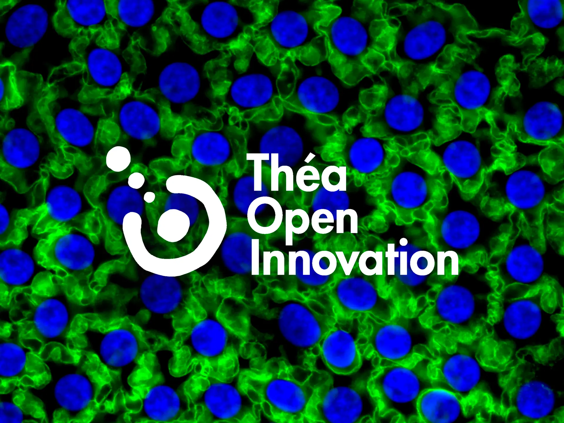 Théa Open Innovation, una estructura dedicada a la open innovation